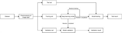 Deep learning for MRI lesion segmentation in rectal cancer